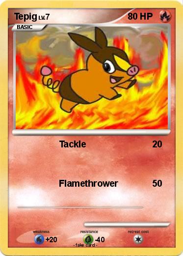 Pokemon Tepig