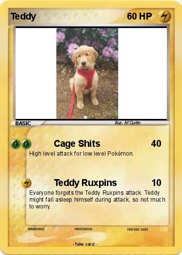 Pokemon Teddy