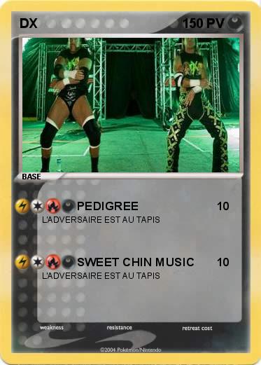 Pokemon DX