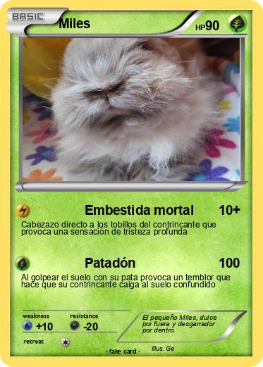 Pokemon Miles