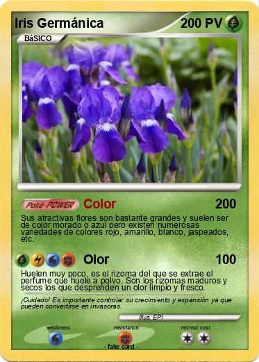 Pokemon Iris Germánica