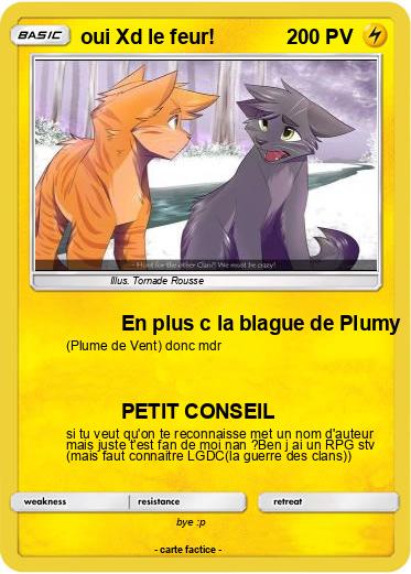 Pokemon oui Xd le feur!