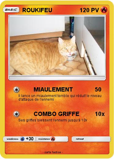 Pokemon ROUKIFEU