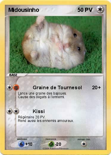 Pokemon Midousinho