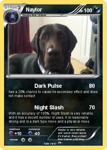 Pokemon Naylor