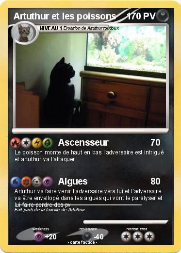 Pokemon Artuthur et les poissons