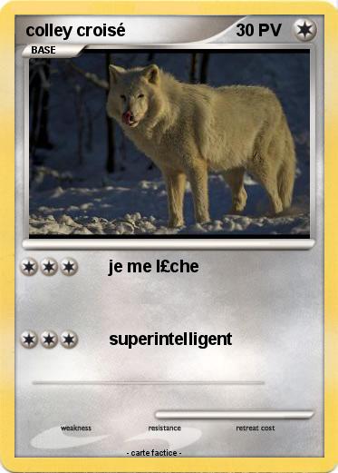 Pokemon colley croisé