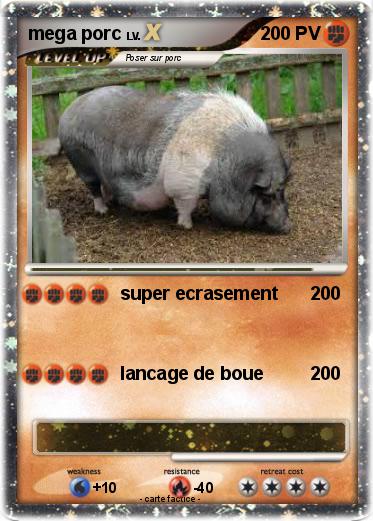 Pokemon mega porc