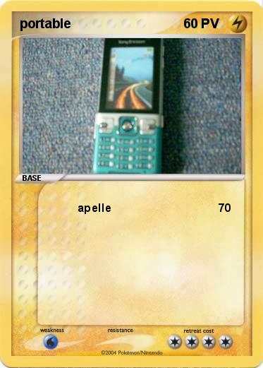 Pokemon portable 