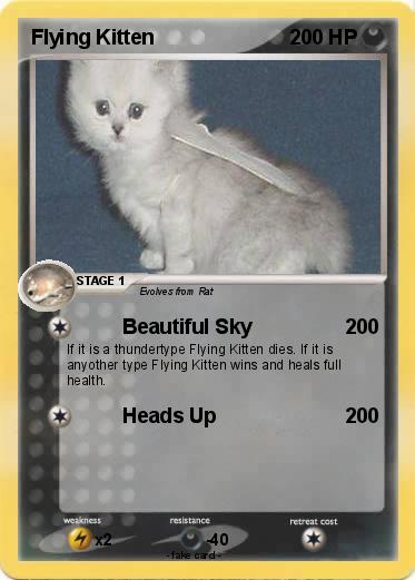 Pokemon Flying Kitten