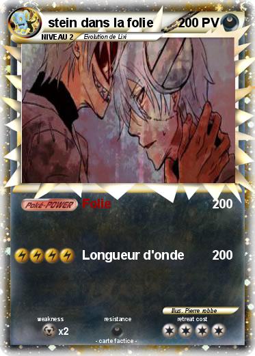 Pokemon stein dans la folie
