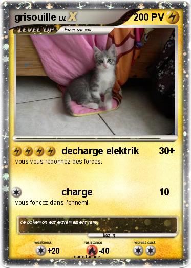 Pokemon grisouille