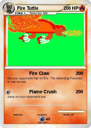 Pokemon Fire Tuttle