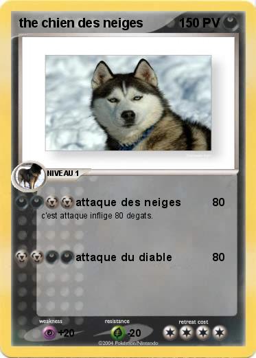 Pokemon the chien des neiges