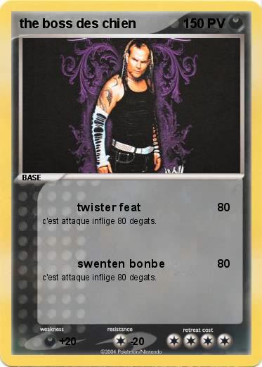 Pokemon the boss des chien