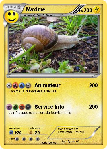 Pokemon Maxime