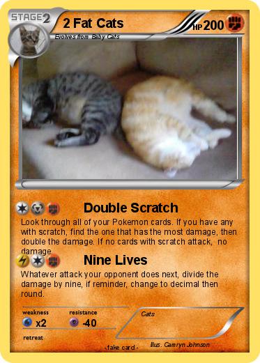 Pokemon 2 Fat Cats