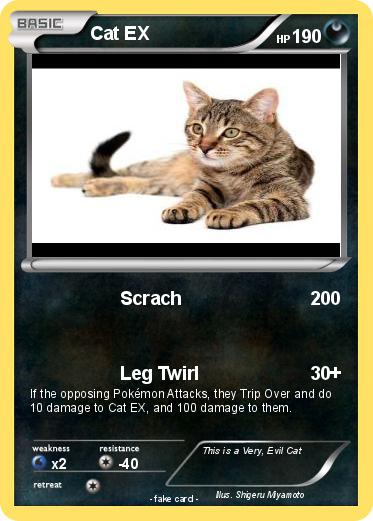 Pokemon Cat EX