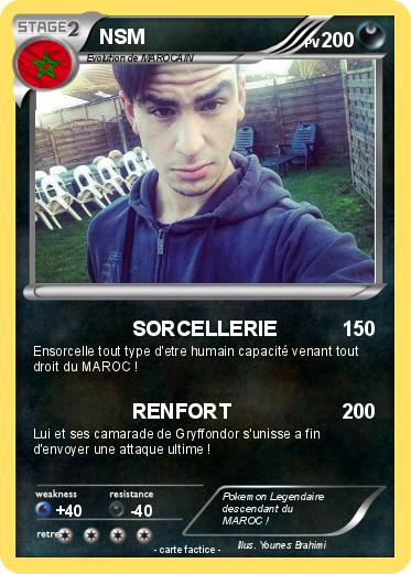 Pokemon NSM