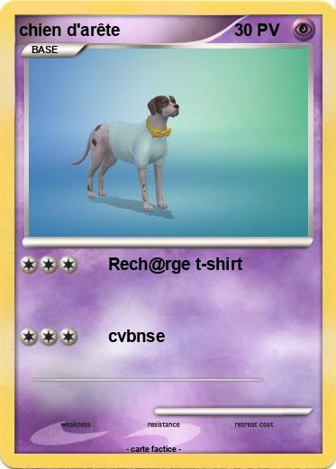 Pokemon chien d'arête