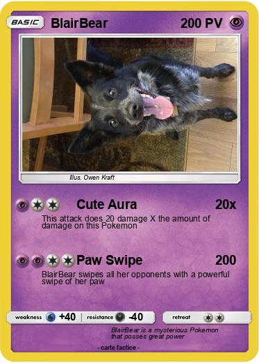 Pokemon BlairBear