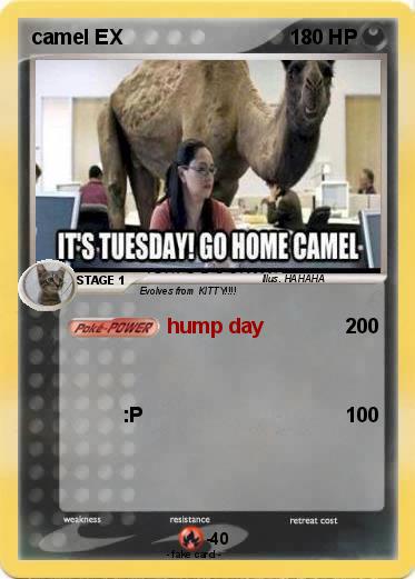 Pokemon camel EX