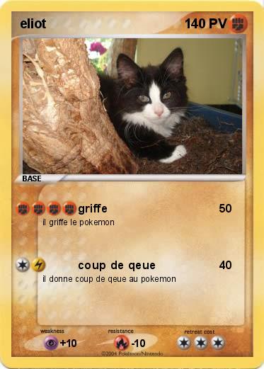 Pokemon eliot