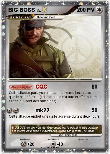 Pokemon BIG BOSS