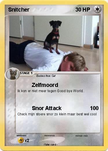 Pokemon Snitcher
