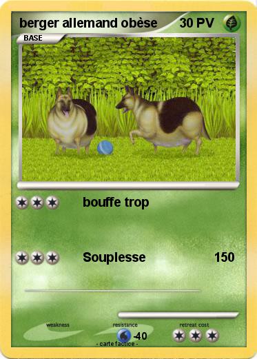 Pokemon berger allemand obèse