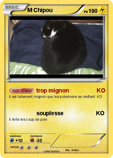 Pokemon M Chipou