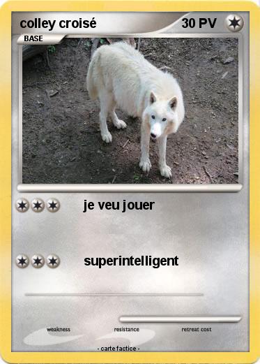 Pokemon colley croisé