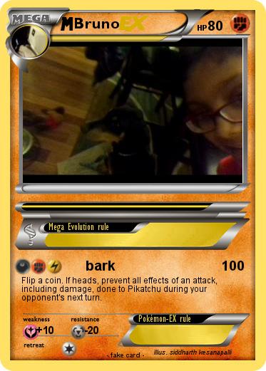 Pokemon Bruno