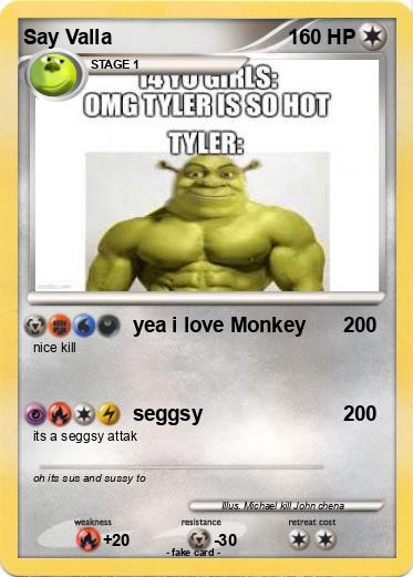 Pokemon Say Valla