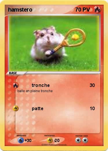 Pokemon hamstero
