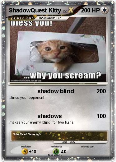 Pokemon ShadowQuest Kitty