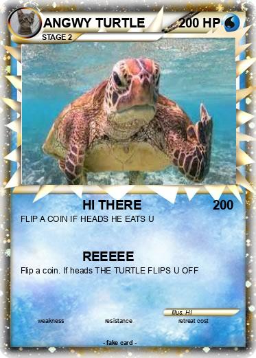 Pokemon ANGWY TURTLE