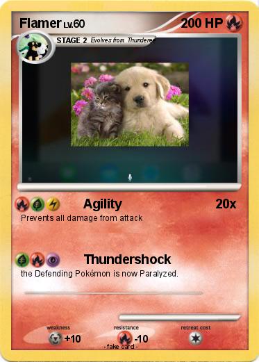 Pokemon Flamer