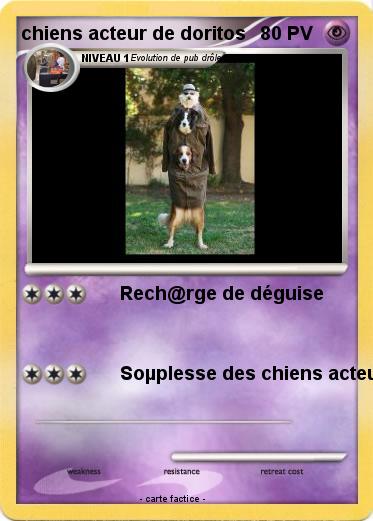 Pokemon chiens acteur de doritos