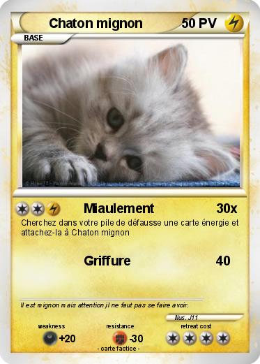 Pokemon Chaton mignon