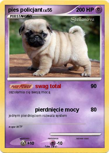 Pokemon pies policjant