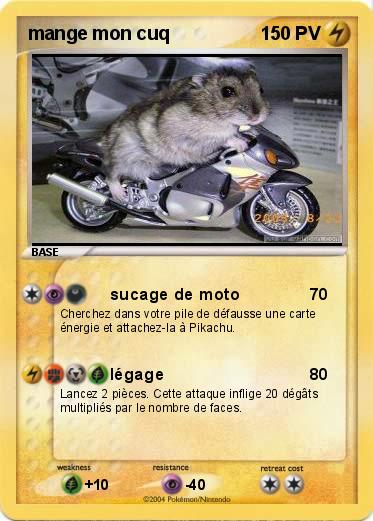 Pokemon mange mon cuq