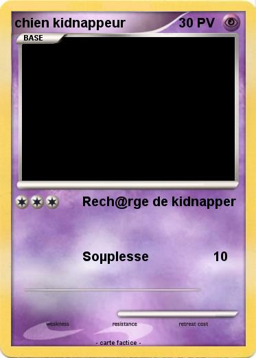 Pokemon chien kidnappeur
