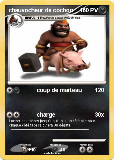 Pokemon chauvocheur de cochon