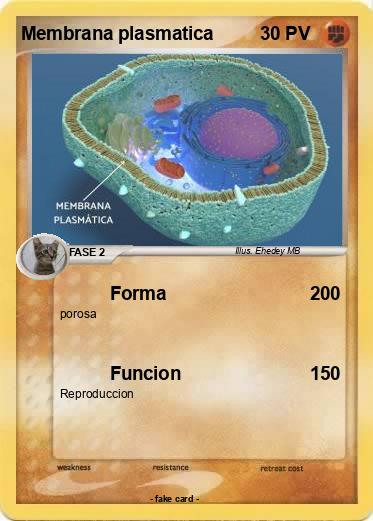 Pokemon Membrana plasmatica