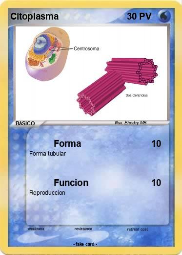 Pokemon Citoplasma