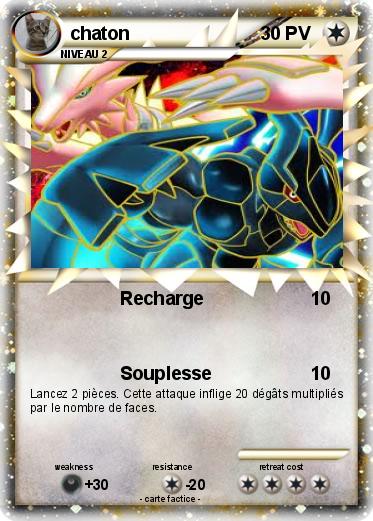 Pokemon chaton