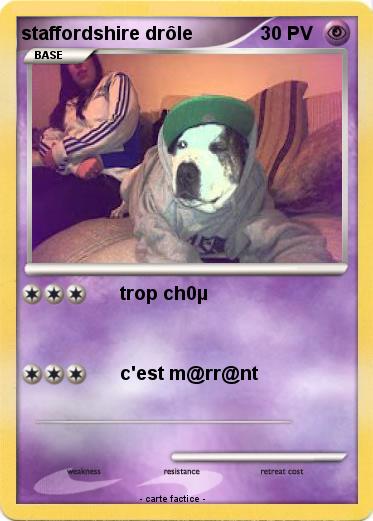 Pokemon staffordshire drôle
