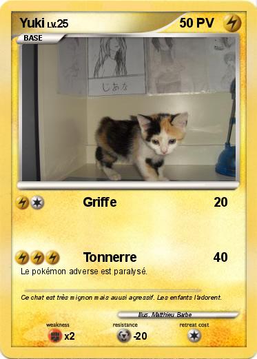 Pokemon Yuki