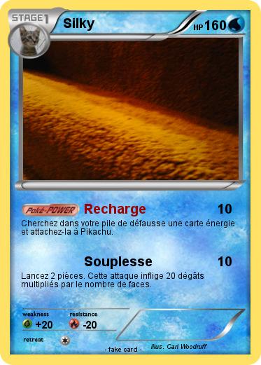 Pokemon Silky